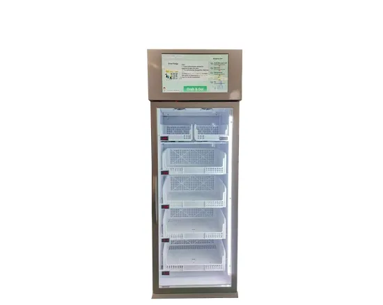 Micron Office Freezer Vending Machine